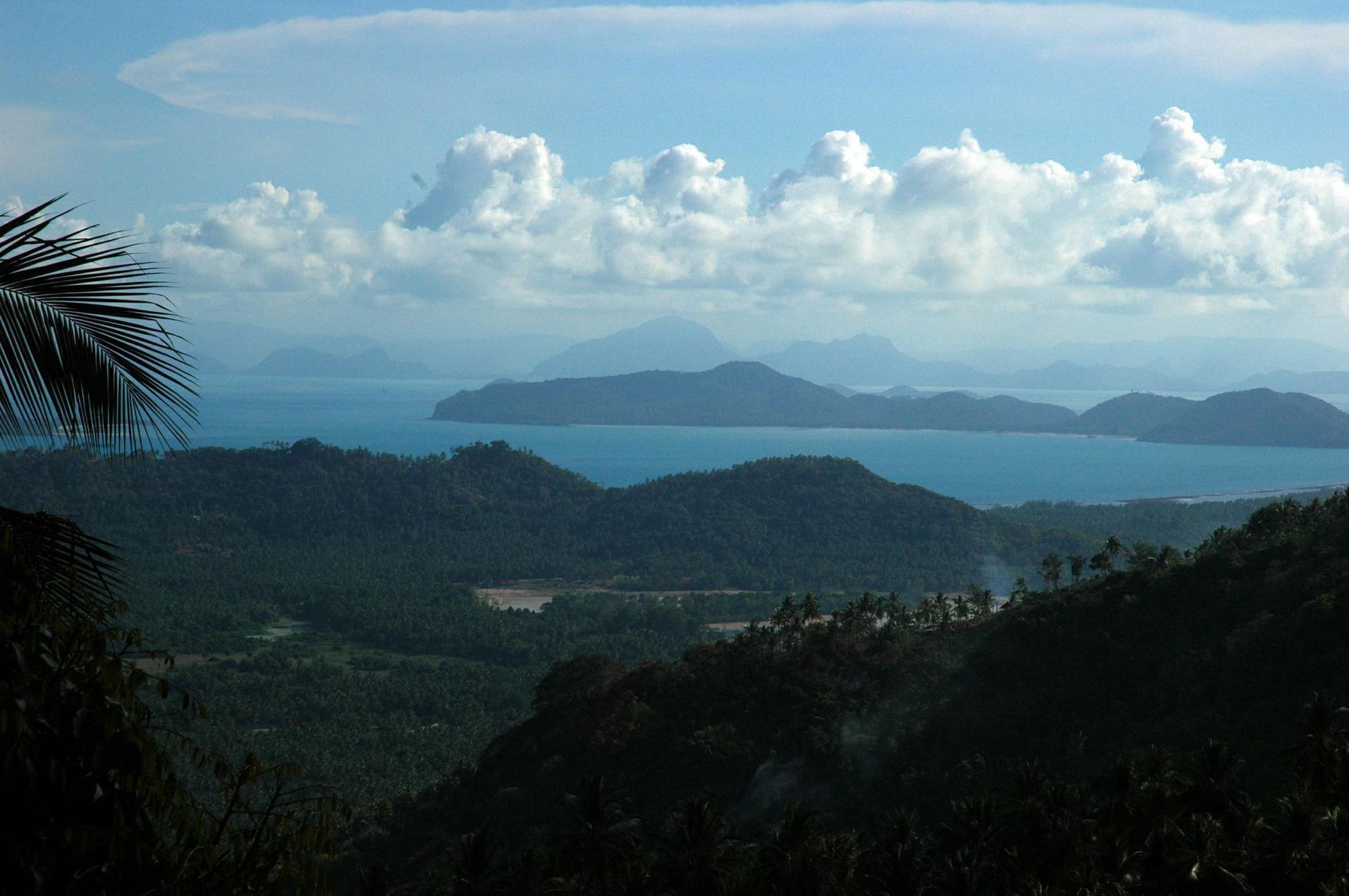 Jungle KohTaen and Mainland.